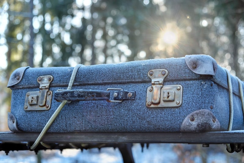 Luggage Image